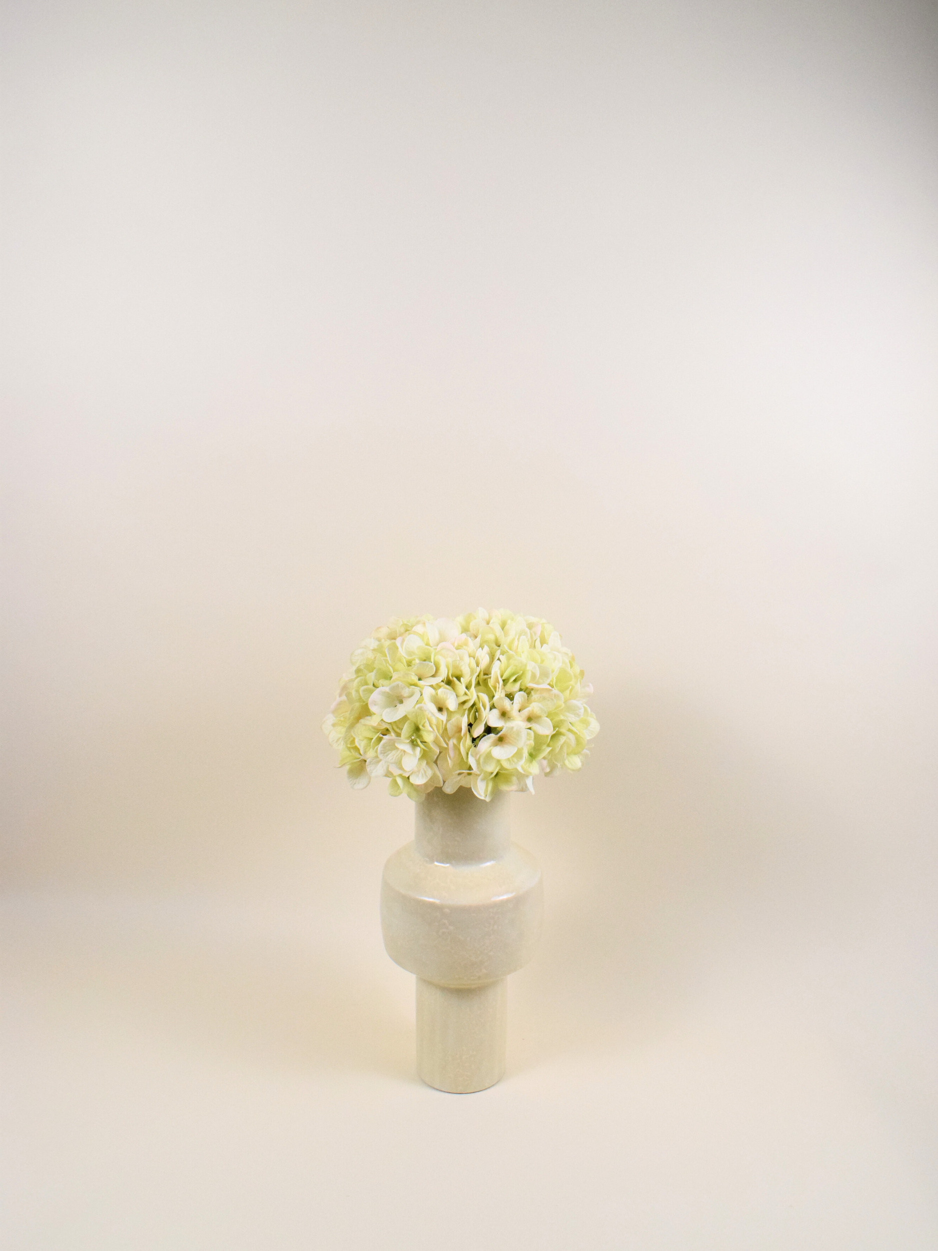 Hortensia Crème