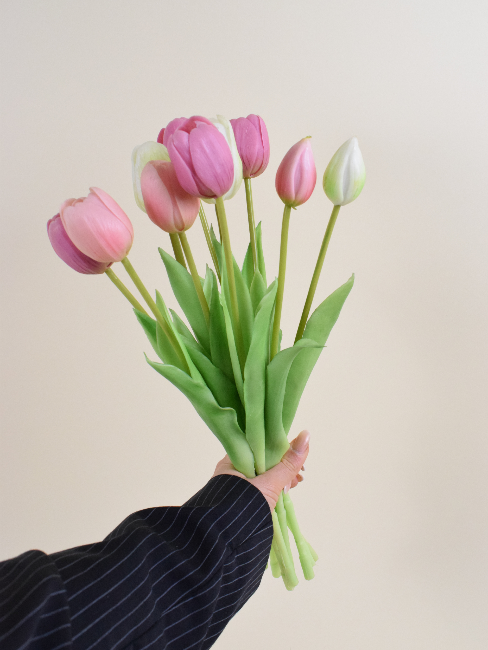 Tulpen mix