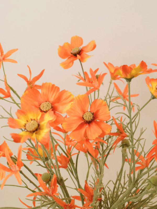 Pretty in Orange