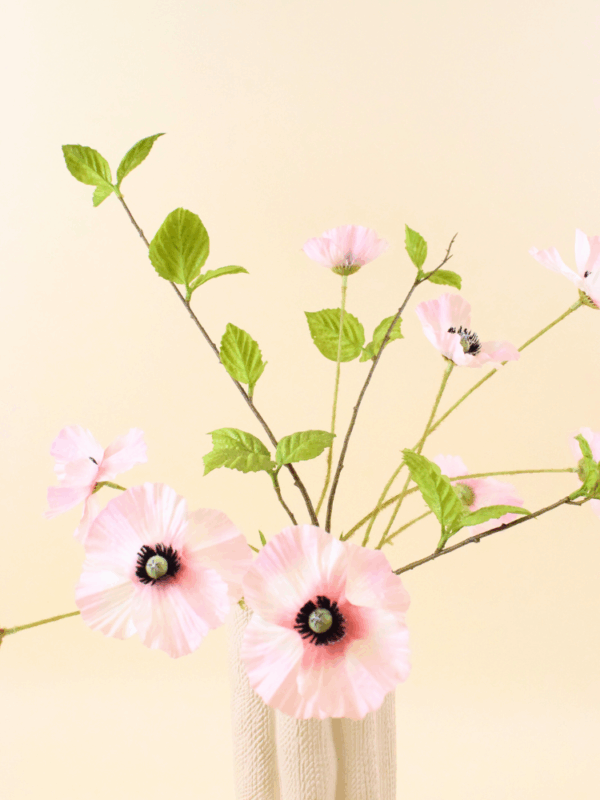 Sweet petal