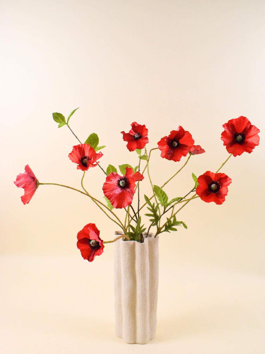 Red Poppy